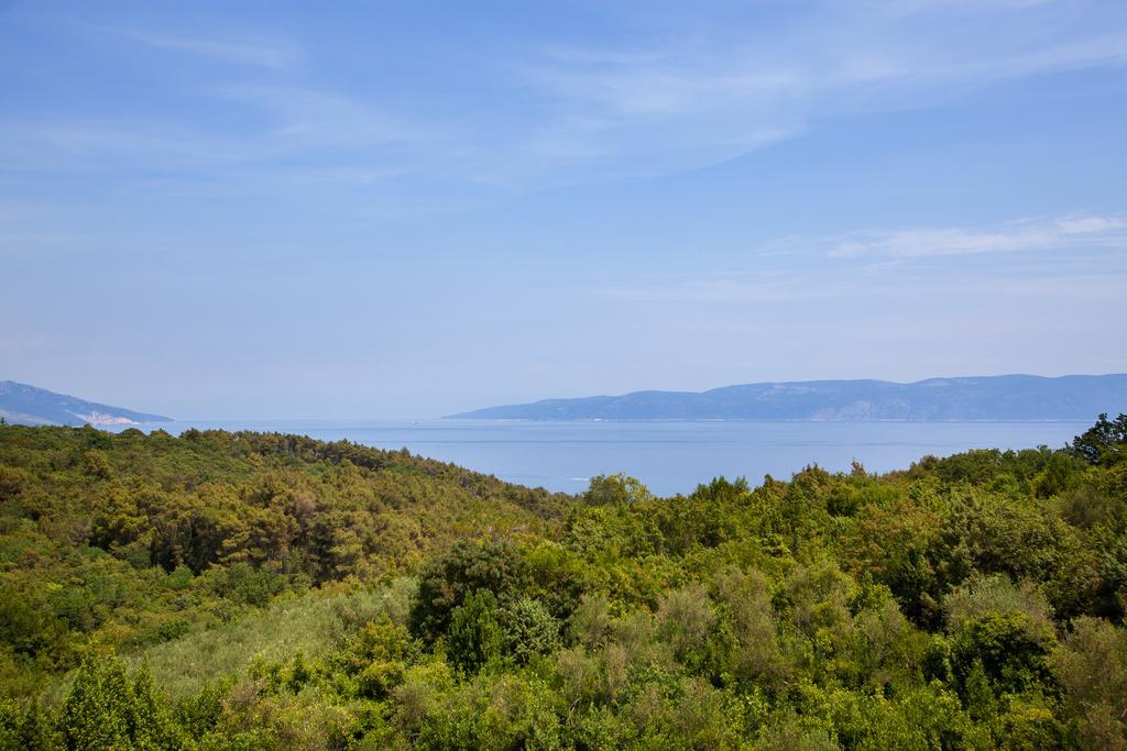 Apartment Villa Lidija *